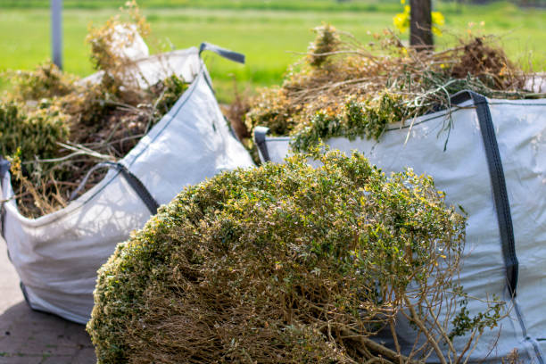 Best Residential Junk Removal  in Lindsay, CA